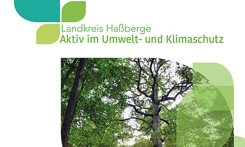 Waldaktion - Aktiv im Umwelt- & Klimaschutz