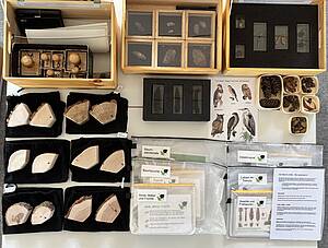 Ausgepackter Koffer
