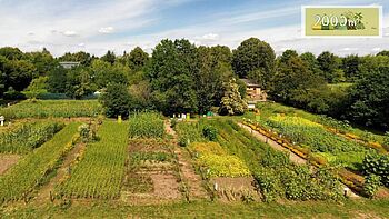 Weltacker Berlin mit blühenden Pflanzenparzellen an einem sonnigen Tag.