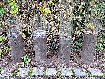 Alle 4 Säulen des Zersetzungsversuchs