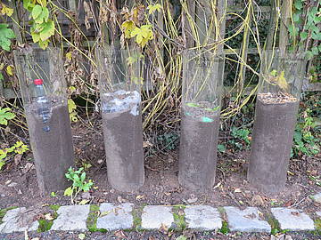 Alle 4 Säulen des Zersetzungsversuchs
