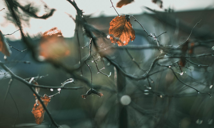 November