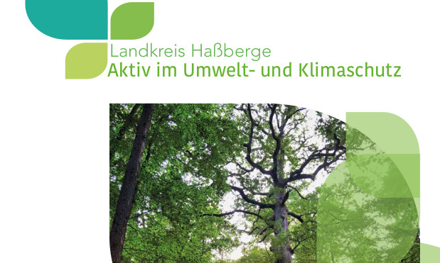 Projektflyer