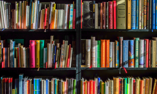 UBiZ-Medienkatalog UBiZ-Medienkatalog
